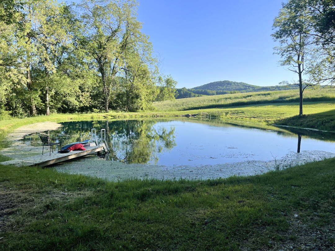 Pond