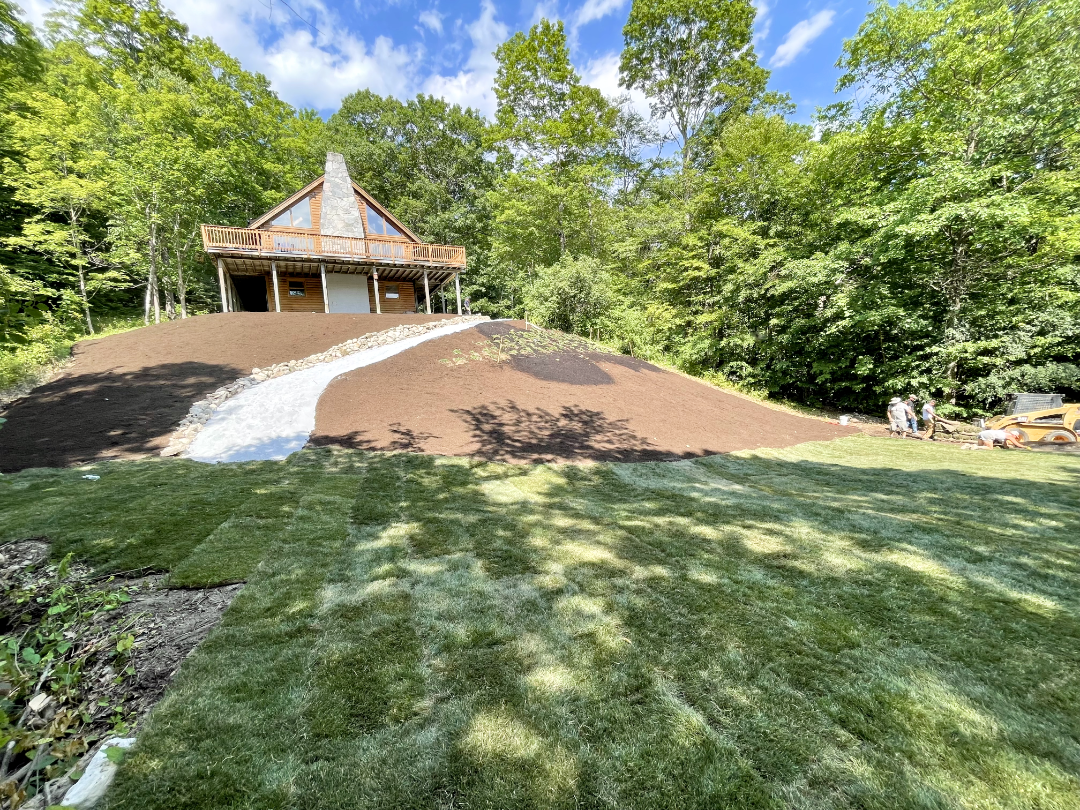 Sod and Landscape