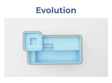 Evolution